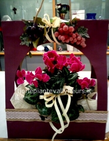 Ciclamino in confezione autunnale